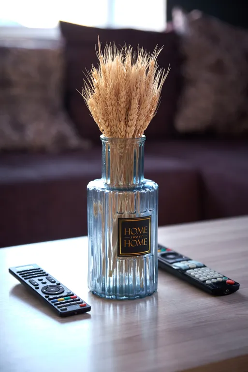 Уютная студия в центре города