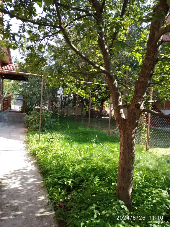 Коттедж терем-люкс в центре