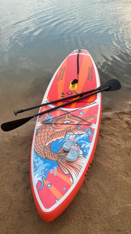 Zavidovo River house