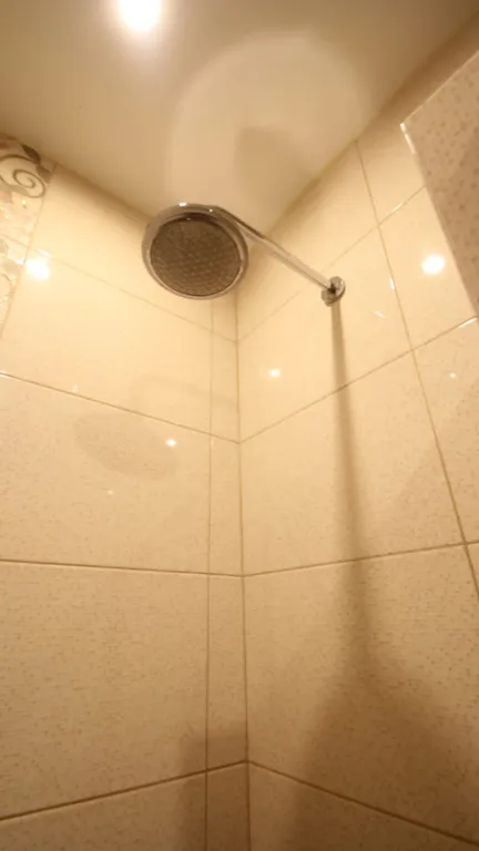 Студия Лопатинский сад