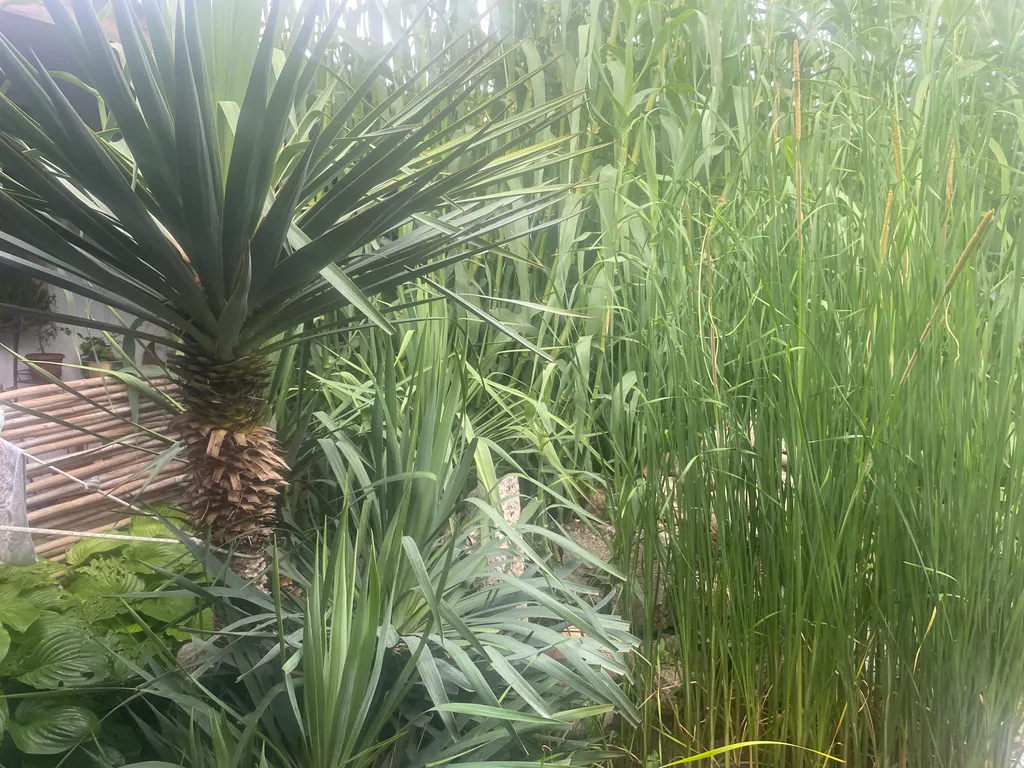 Квартира Комната — Черноморское