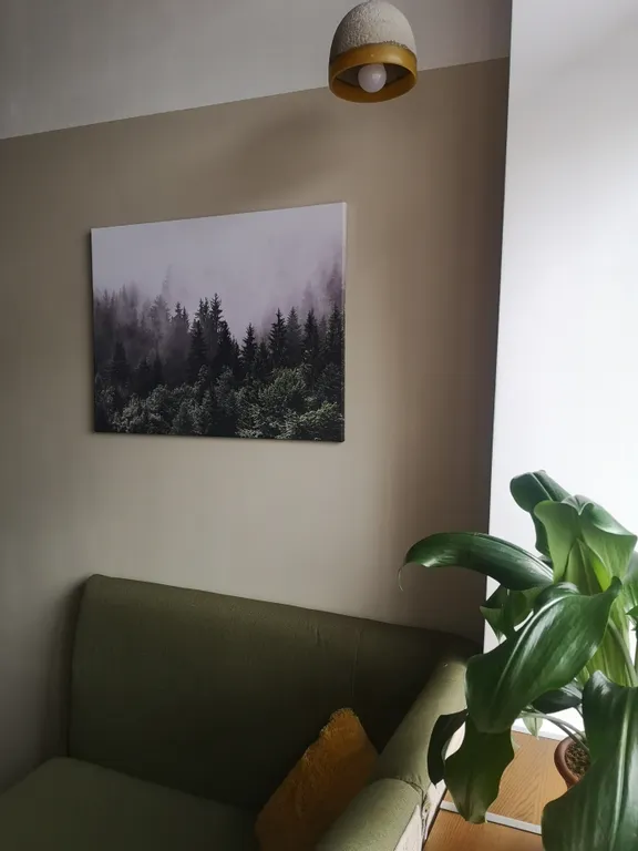 Уютные и тёплые апартаменты-студия