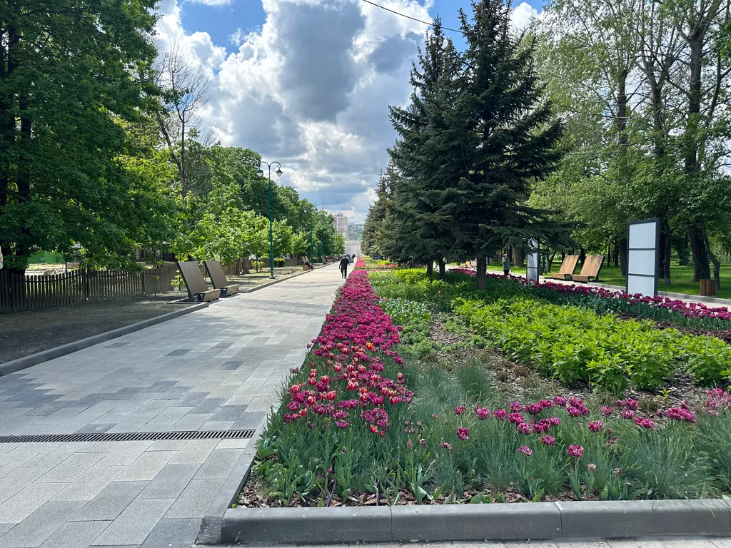 Квартира в центре города с видом на парк