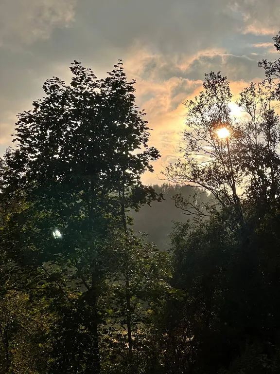 В гостях у природы