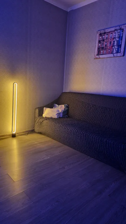 Однокомнатная комфортабельная квартира