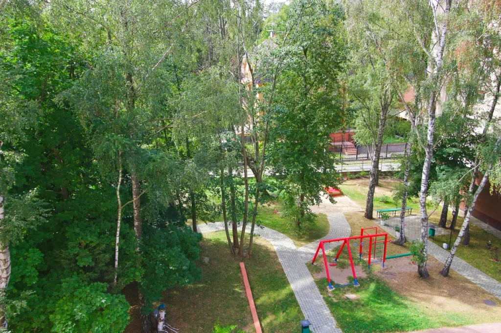 Квартира 1-комнатная Квартира — Светлогорск