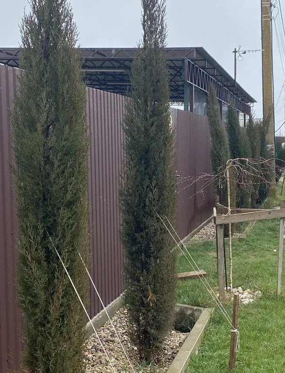 Домик у Черного моря