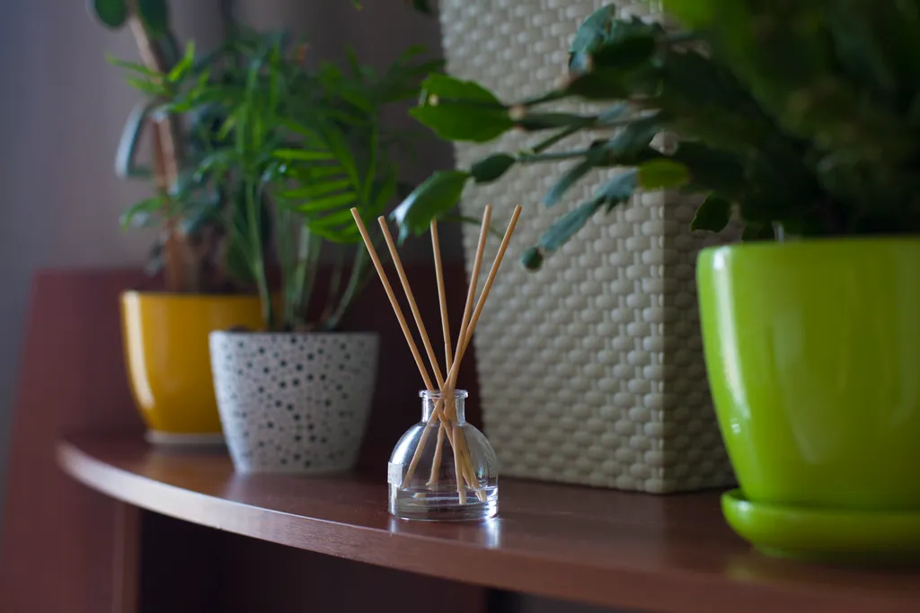 Квартира Квартира Санта — Светлогорск