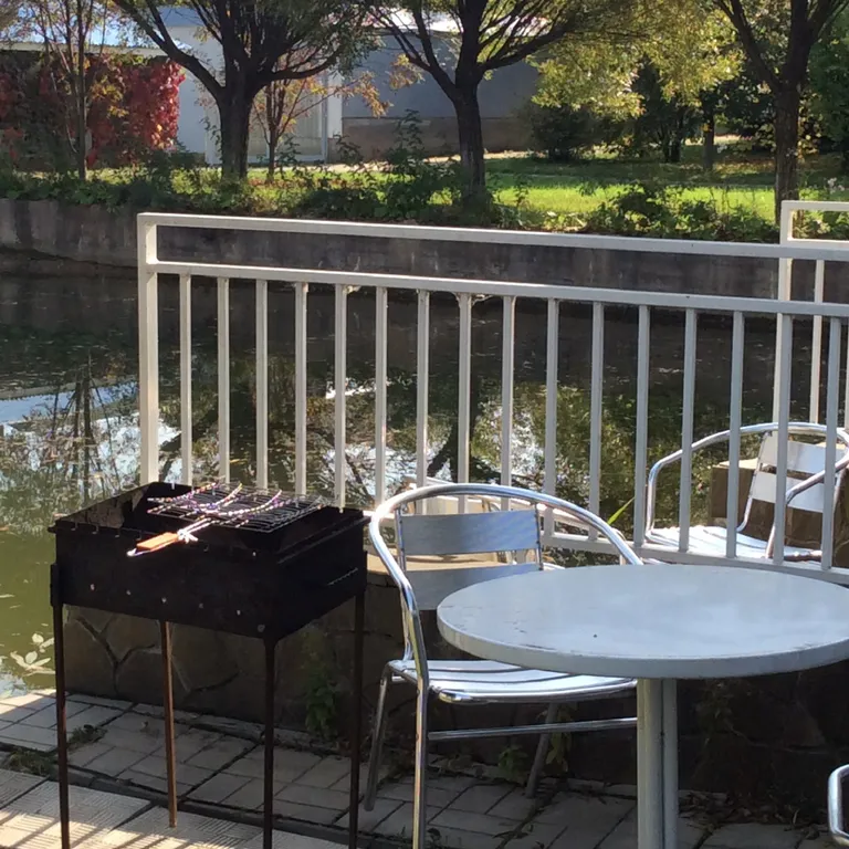 Коттедж Уютный коттедж у пруда — Борзые