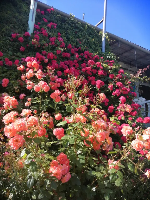 Апартаменты с видом на море