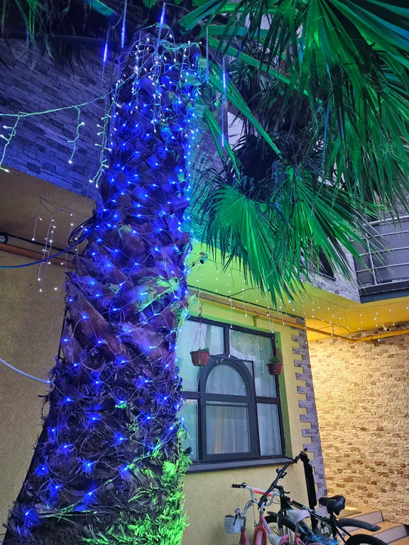 Квартира Жильё в центре олимппарка — Сириус