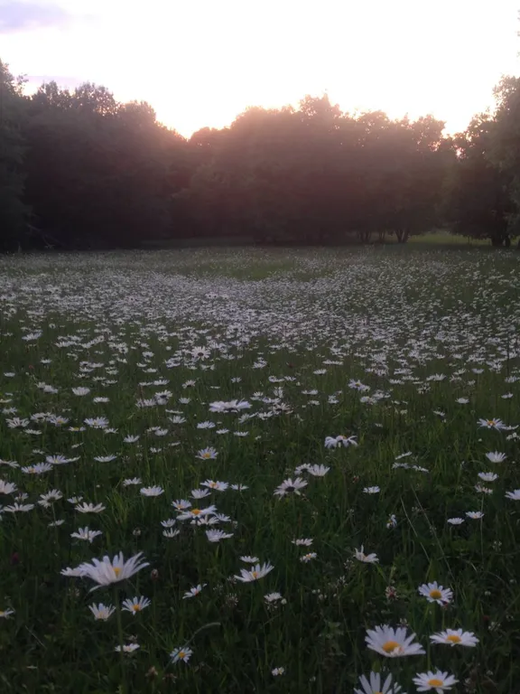 Коттедж Отдых от городской суеты в Адыгеи, домик в лесу А-фрейм — Веселый