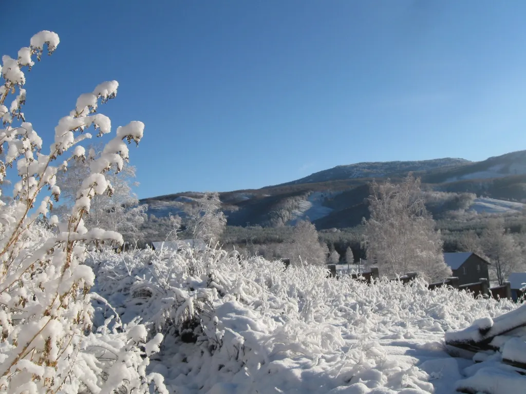 Теремок в горах бревенчатый дом и баня