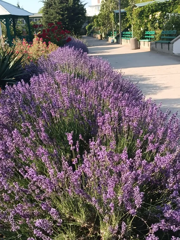 Видовые апартаменты