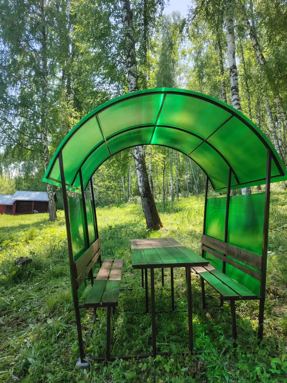 Летний номер с видом на березовый лес