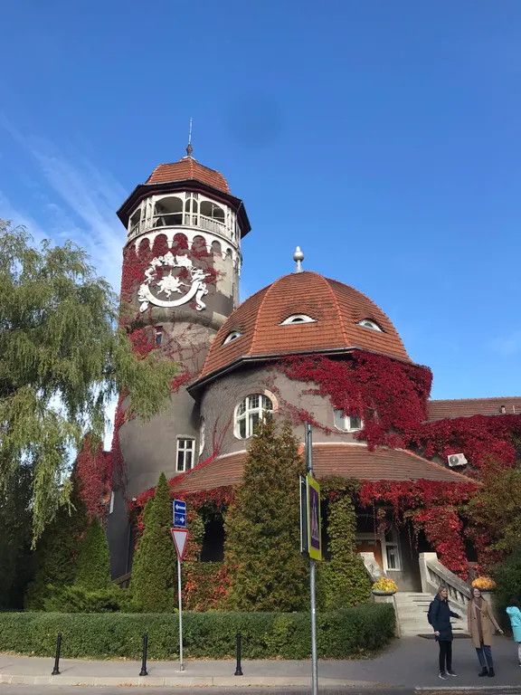 Квартира Апартаменты у озера Тихое — Светлогорск