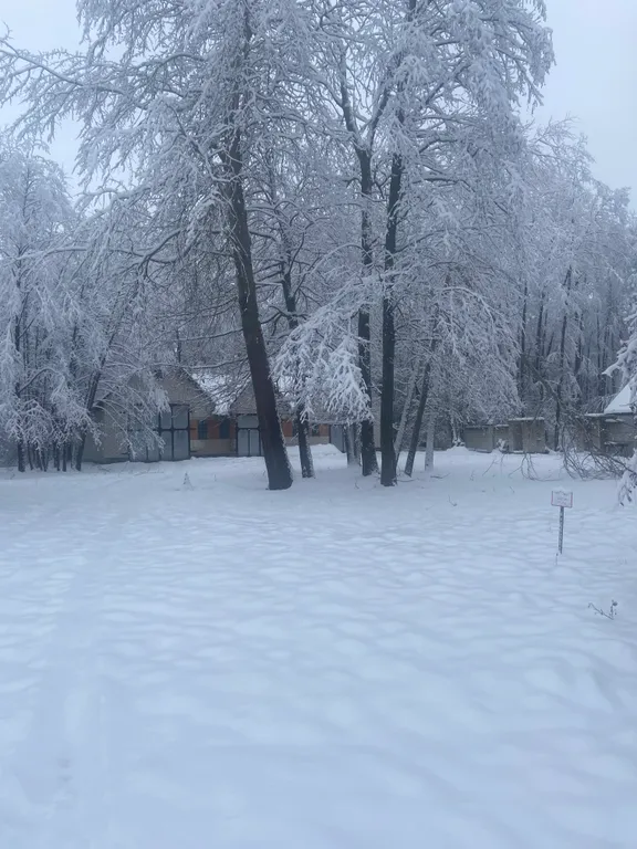 Усадьба На позитиве