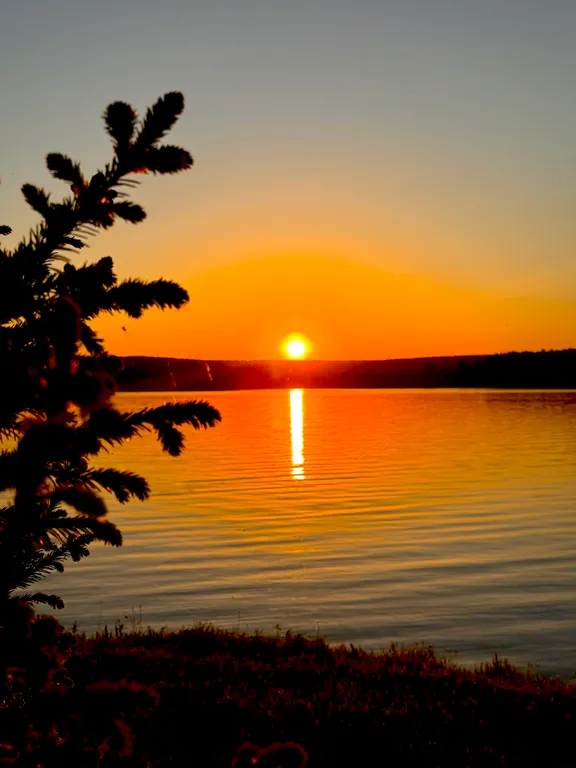 Речное поместье глэмпинг на берегу реки