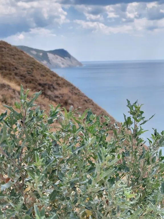 Квартира Квартира в 300 метрах от высокого берега Анапы — Анапа