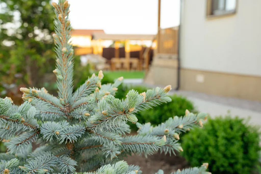 Дом Coastal Dream для близких - с видом на море и вкусом лета