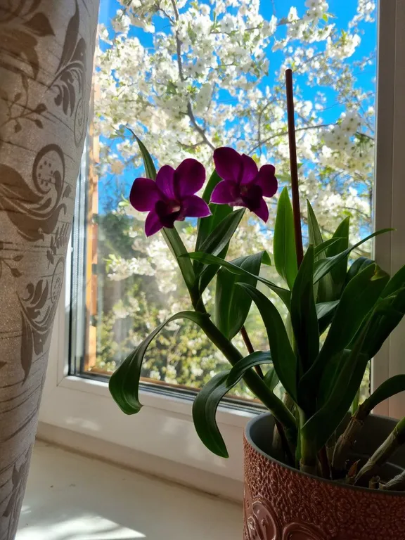 Коттедж на склоне возле Дубровского