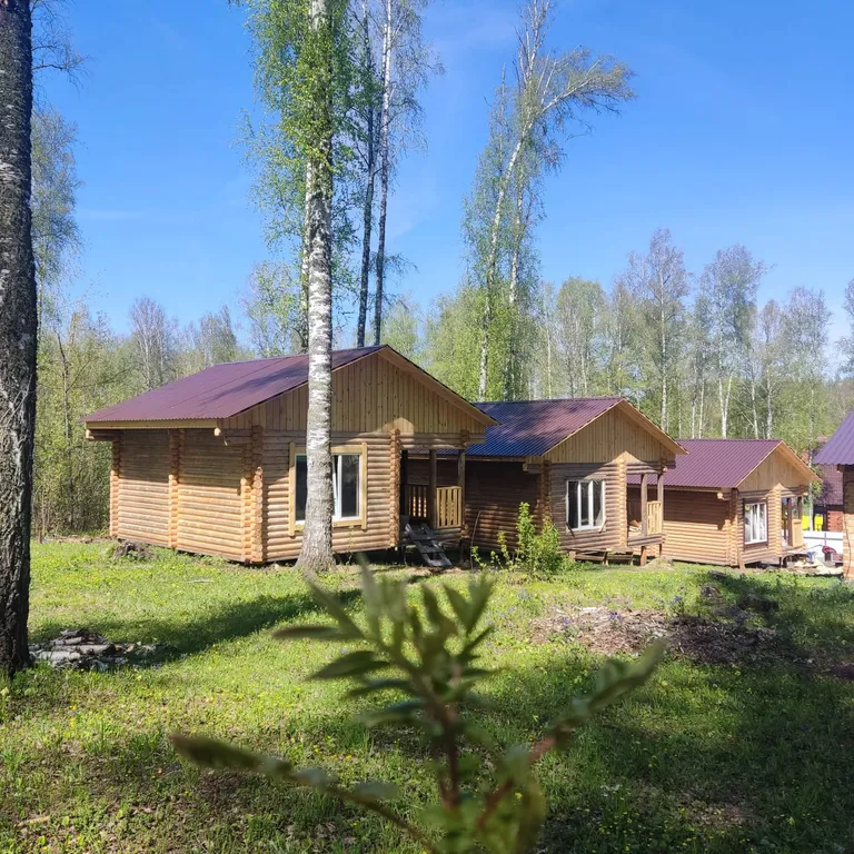 Банный край