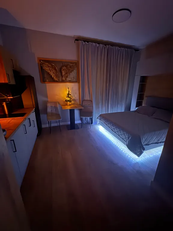 Уютная студия рядом с Мещерским лесом