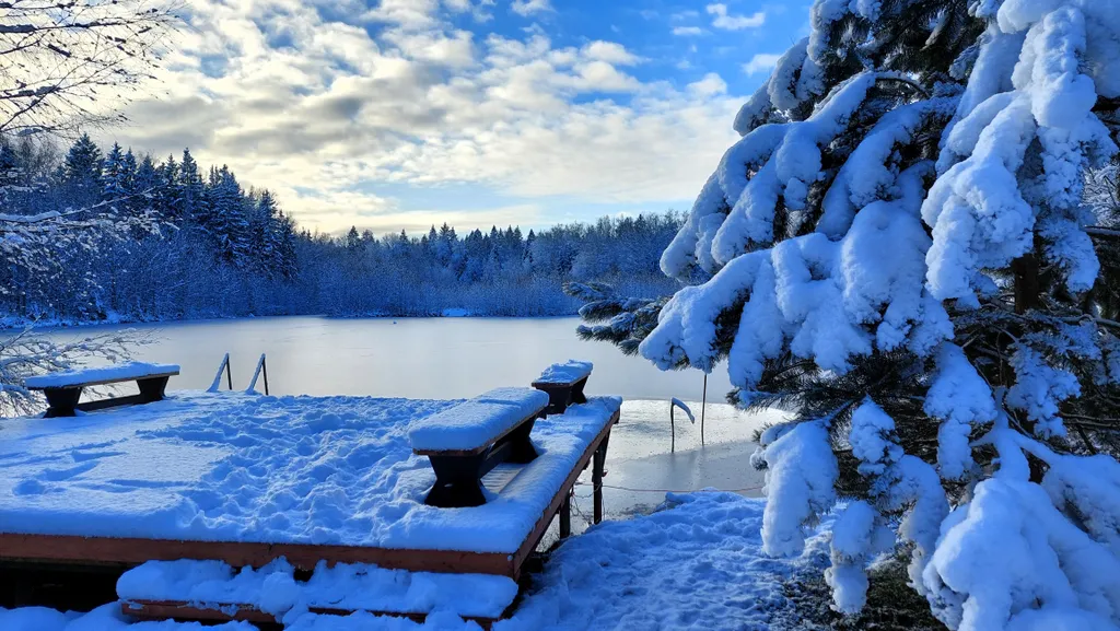 Коттедж Васнецово-озеро, коттедж на берегу озера в окружении леса — Ваньково