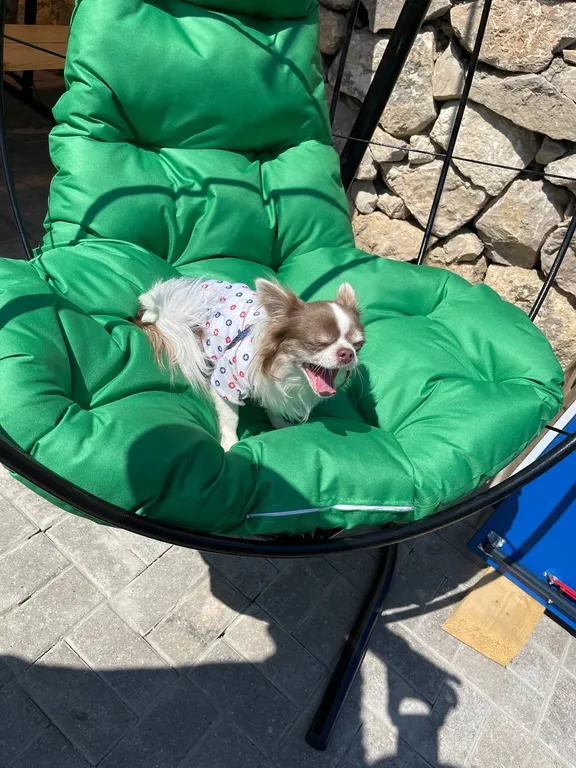 Дизайнерский коттедж из сруба