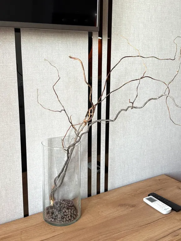 Квартира Евро двухкомнатная квартира Persimmon — Анапа