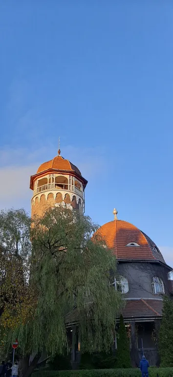 Квартира 1-комнатная Квартира — Светлогорск