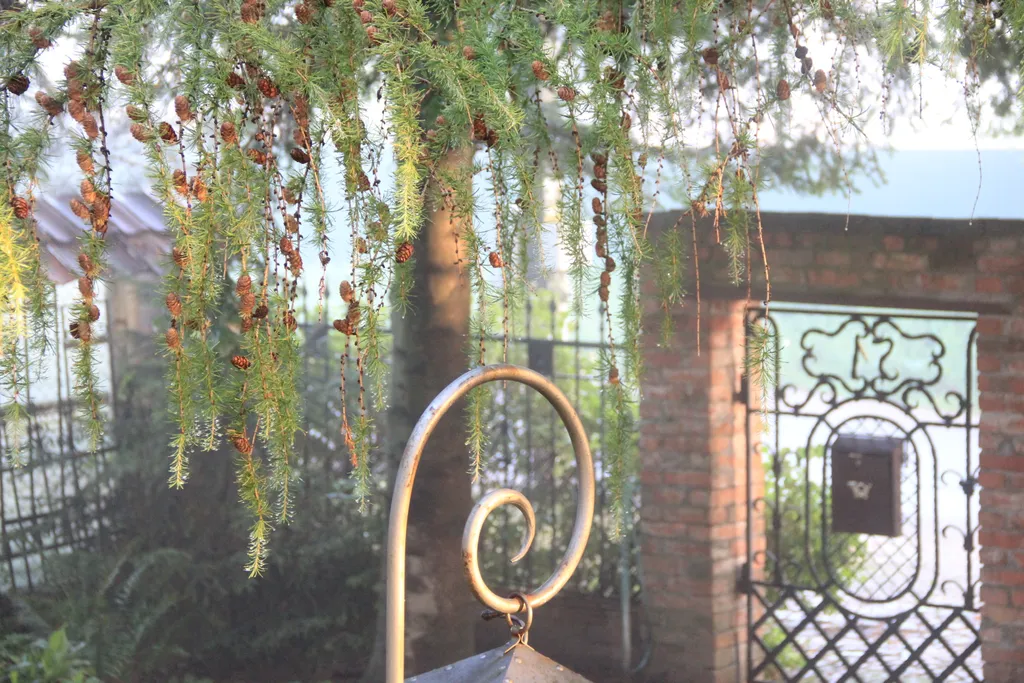 Гостевой дом Прусский Дворик