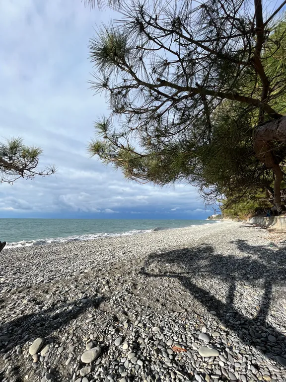 Студия в ЖК Аллея Парк