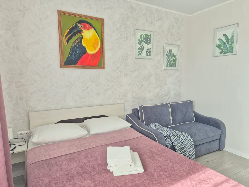 Джунгли квартира-студия