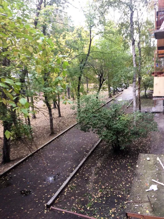 Уютная квартира в историческом центре города