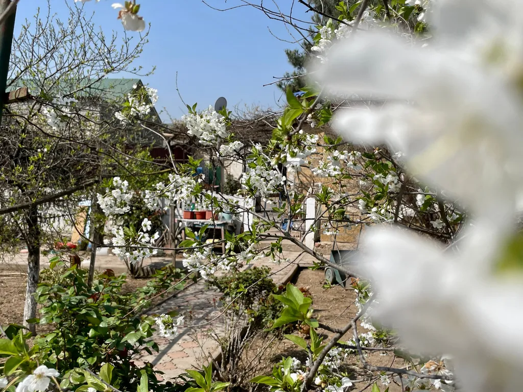 Коттедж 4-комнатный Дом — аренда посуточно в Избербаш