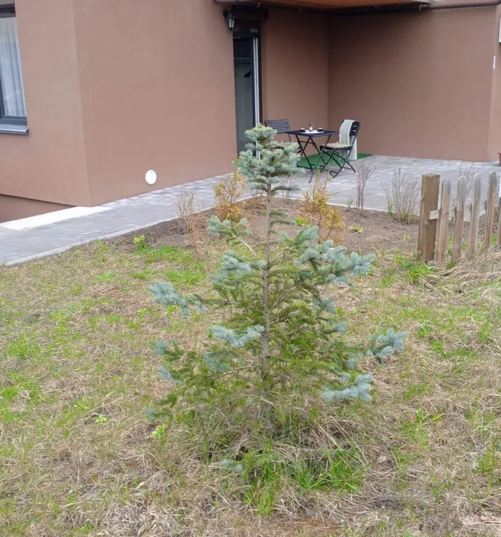 Квартира Квартира Emilias Berth — Светлогорск