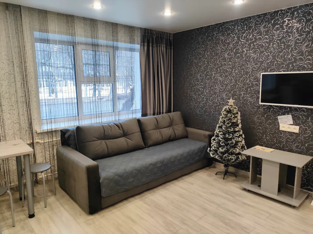 Квартира в центре с видом на парк и реку Волга