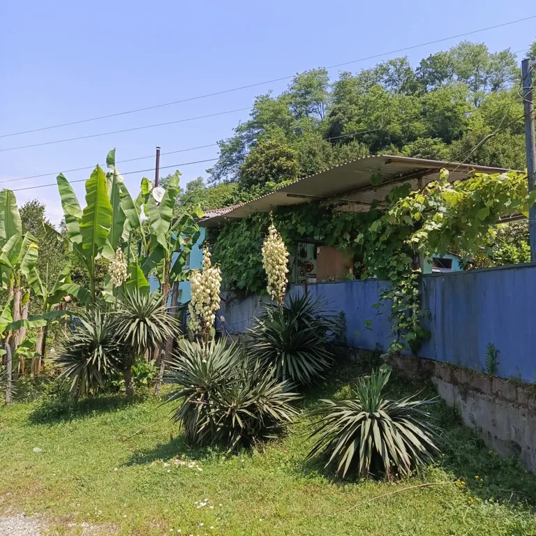 Комфортный дом с видом на горы