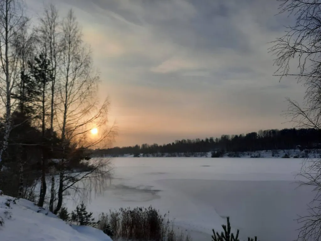 Коттедж Новый коттедж с видом на лес и в трех минутах от озера — Мга