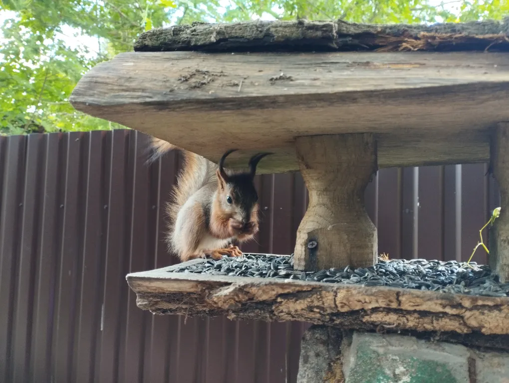 Дом с сауной у озера