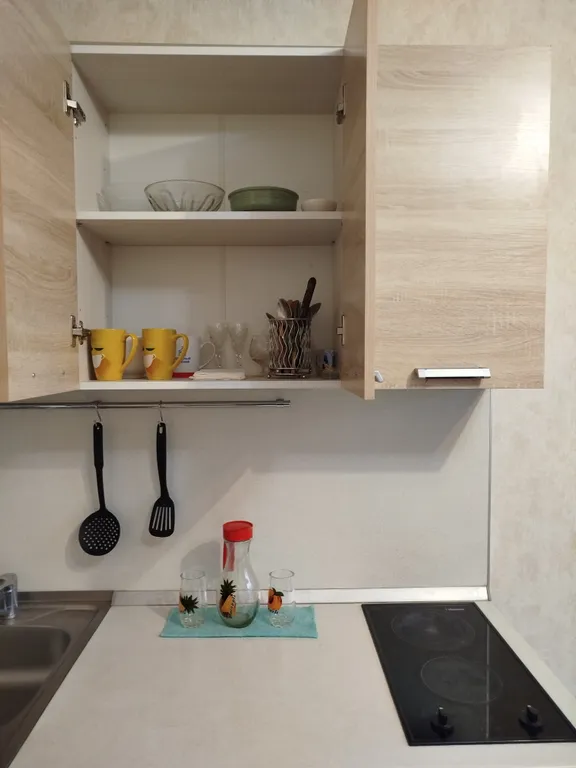 Уютная студия в центре города