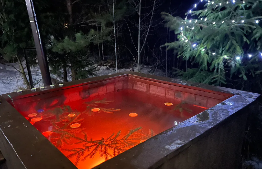 Коттедж 1-комнатный Дом — Деревянное