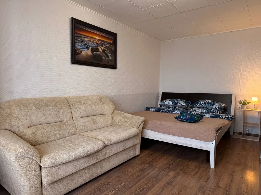 Уютная 1-к квартира с шикарным видом и большой кроватью