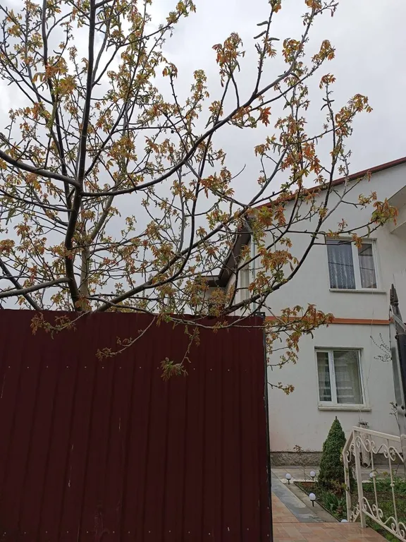 Дом с баней