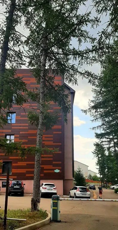 Уютная студия с видом на лес