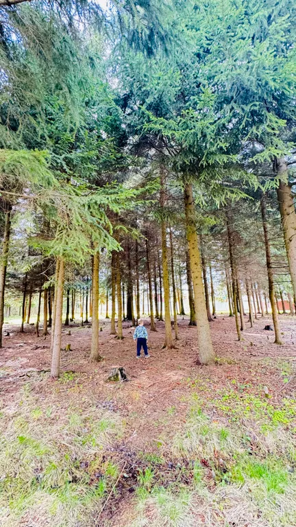 Семейный уютный домик