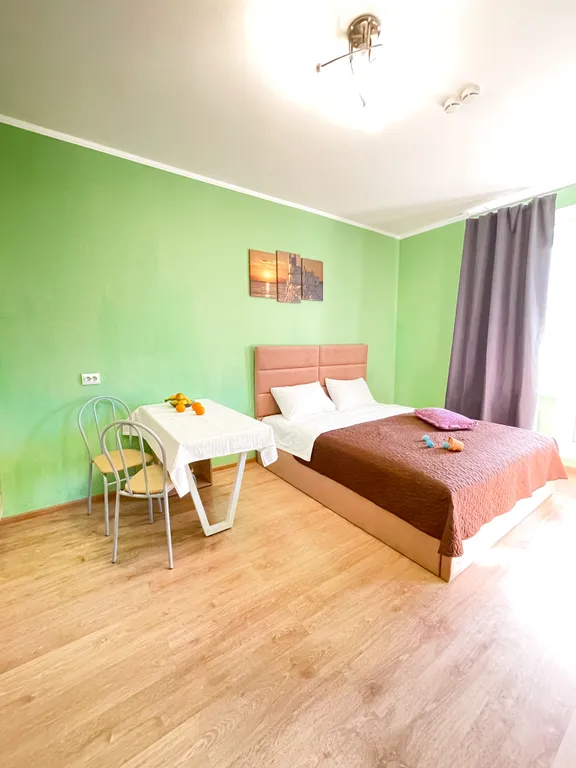 Вместительная студия в мурино