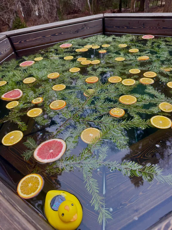 Дом в елях с финской сауной