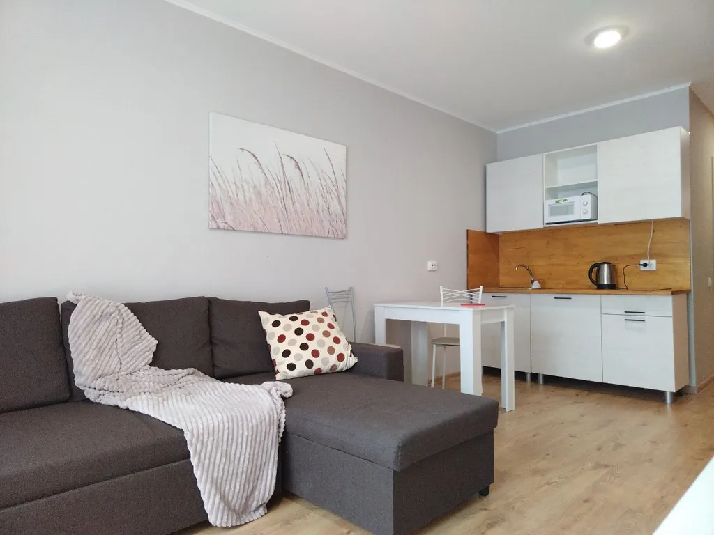 1-комнатная Квартира — аренда посуточно в Парголово